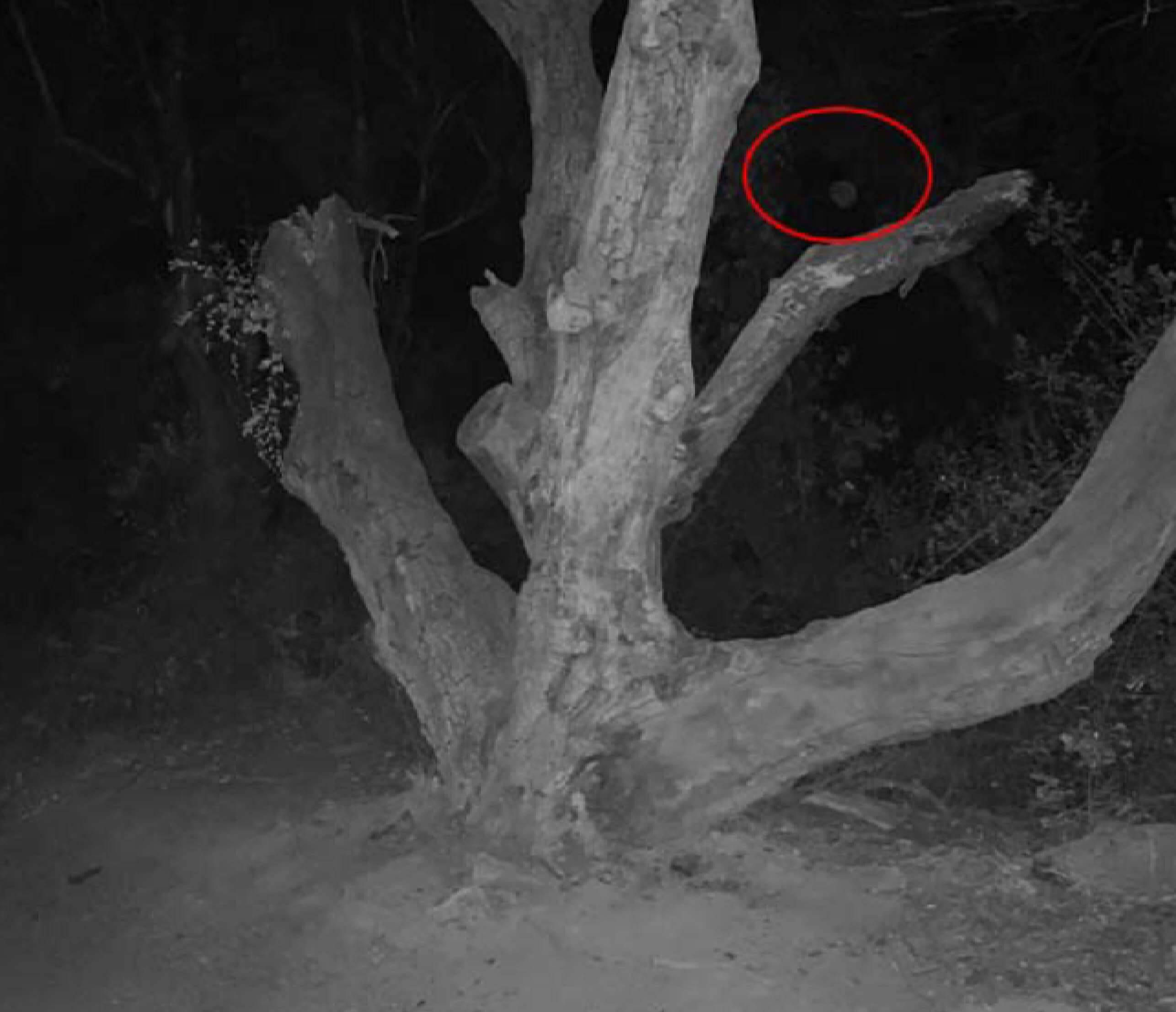 Ghost Hunting Evidence